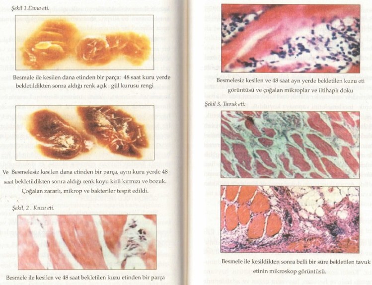 besmeleyle kesilen hayvan eti, tekbirle kesilen hayvan eti, besmeleyle kesilen kurban, hayvan keserken okunacaklar, sünnete göre kurban kesmek
