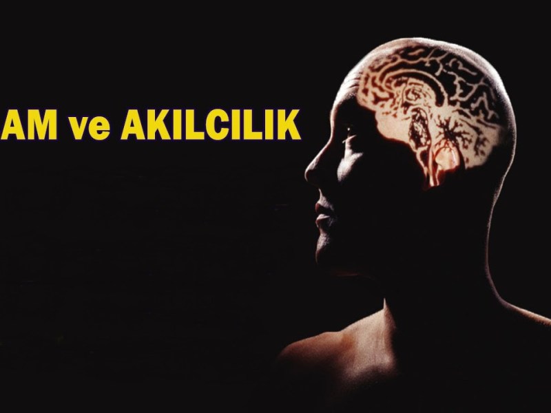 Kur’an’daki Aklın “rasyonellik” ile alakası&nbsp;yoktur…